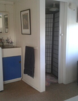 Deb’s North Shore Bathroom and Rumpus before